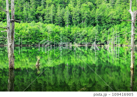 夏の自然湖 夏の自然湖 109416905