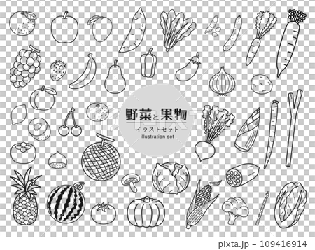 Vegetable fruit illustration set _ monochrome line drawing 109416914