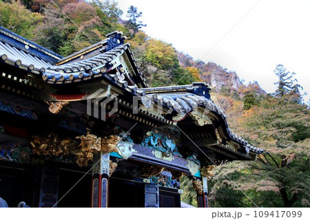 紅葉に彩られた妙義山… 錦秋の妙義神社 紅葉に彩られた妙義山… 錦秋の妙義神社 109417099