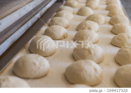 Ball dough on the production line Ball dough on the production line 109417320