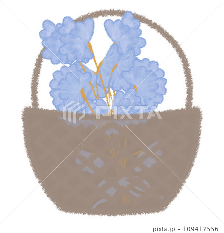 カゴに入ったスイートピーの花束 クレヨンタッチイラスト 109417556