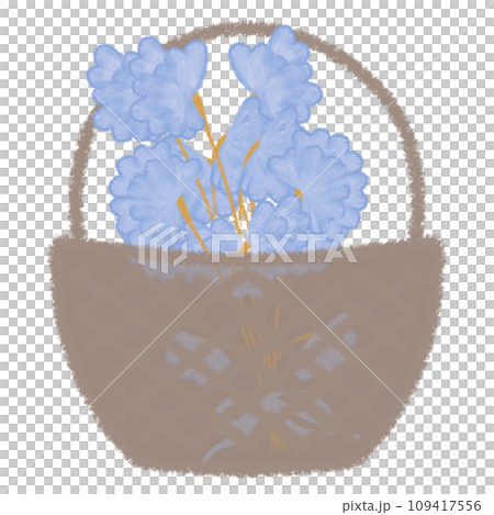 カゴに入ったスイートピーの花束 クレヨンタッチイラスト 109417556