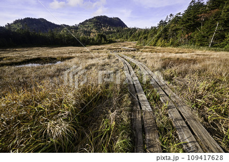 志賀高原四十八池湿原の草紅葉 109417628