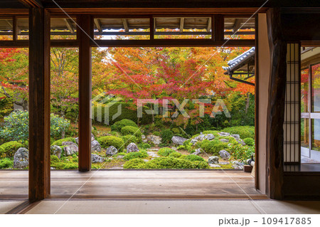 秋の京都・源光庵　書院前に広がる紅葉が美しい鶴亀の庭 109417885