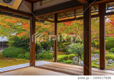 秋の京都・源光庵　書院前に広がる紅葉が美しい鶴亀の庭 109417886