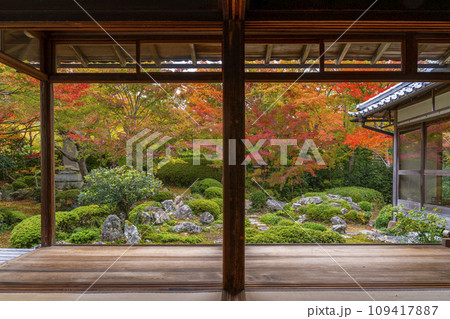 秋の京都・源光庵　書院前に広がる紅葉が美しい鶴亀の庭 109417887
