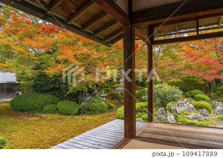秋の京都・源光庵 書院前に広がる紅葉が美しい鶴亀の庭 秋の京都・源光庵 書院前に広がる紅葉が美しい鶴亀の庭 109417889