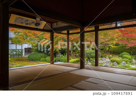 秋の京都・源光庵　書院前に広がる紅葉が美しい鶴亀の庭 109417891