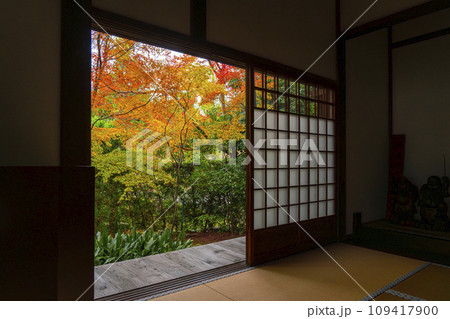 秋の源光庵　紅葉の庭園（京都市北区鷹峯） 109417900