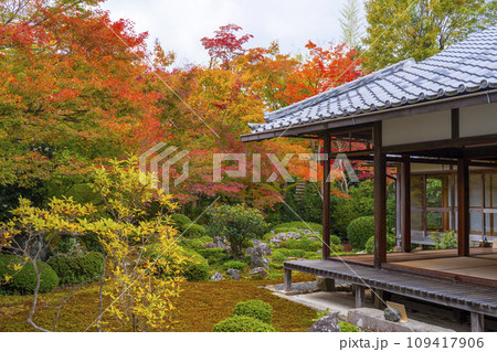 秋の京都・源光庵　紅葉が美しい鶴亀の庭 109417906