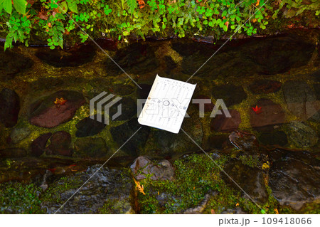 貴船神社　水占みくじ 109418066