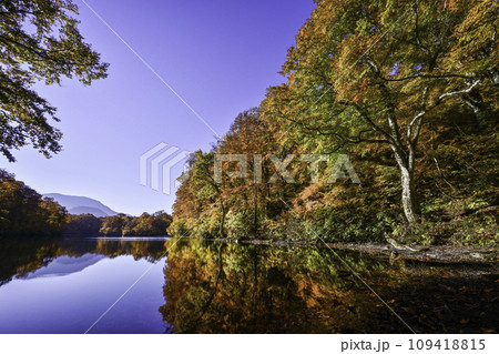 雨飾山の鎌池の紅葉 雨飾山の鎌池の紅葉 109418815