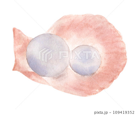 Pearl. Watercolor illustration. Pearl. Watercolor illustration. 109419352