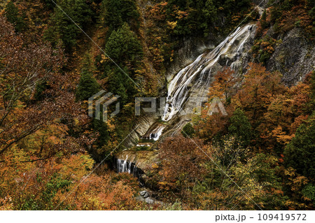 白山白川郷ホワイトロード姥ヶ滝の紅葉 109419572