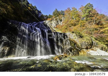 白山白川郷ホワイトロード姥ヶ滝の紅葉 109419579