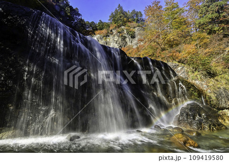 白山白川郷ホワイトロード姥ヶ滝の紅葉 109419580