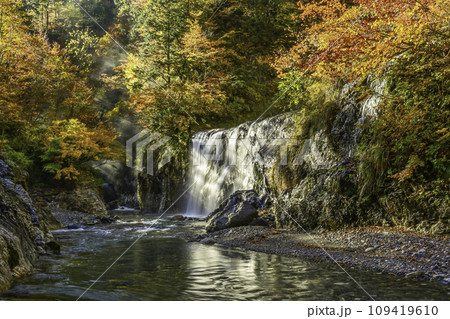 白山白川郷ホワイトロード姥ヶ滝の紅葉 白山白川郷ホワイトロード姥ヶ滝の紅葉 109419610
