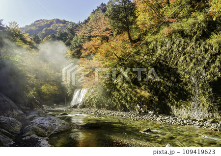 白山白川郷ホワイトロード姥ヶ滝の紅葉 白山白川郷ホワイトロード姥ヶ滝の紅葉 109419623