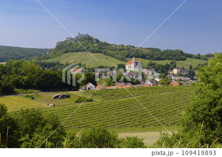 Falkenstein ruins and town with vineyard, Lower Austria, Austria Falkenstein ruins and town with vineyard, Lower Austria, Austria 109419893