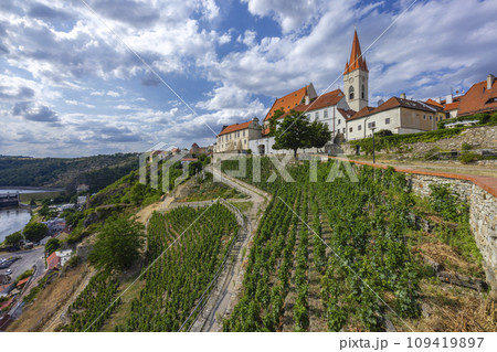Paradise vineyard in Znojmo town, Southern Moravia, Czech Republic Paradise vineyard in Znojmo town, Southern Moravia, Czech Republic 109419897
