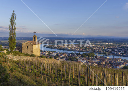 Grand cru vineyard and Chapel of Saint Christopher, Tain l'Hermitage, Rhone-Alpes, France 109419965