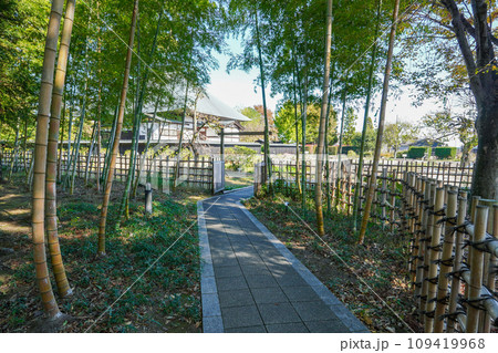 徳川氏発祥の地に遺る縁切寺満徳寺遺跡（群馬県太田市） 109419968