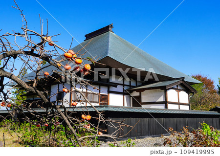 徳川氏発祥の地に遺る縁切寺満徳寺遺跡(群馬県太田市) 徳川氏発祥の地に遺る縁切寺満徳寺遺跡(群馬県太田市) 109419995
