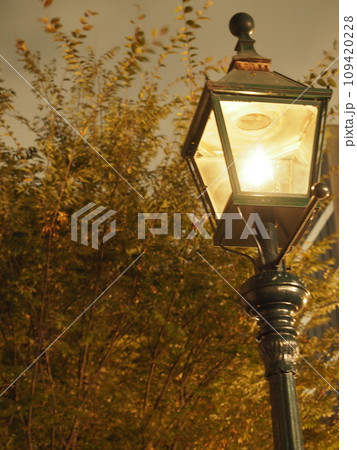 紅葉の中のレトロな街灯 紅葉の中のレトロな街灯 109420228