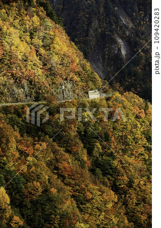 錦秋の白山白川郷ホワイトロード 錦秋の白山白川郷ホワイトロード 109420283