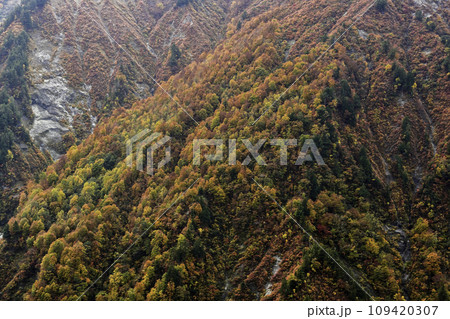 錦秋の白山白川郷ホワイトロード 錦秋の白山白川郷ホワイトロード 109420307