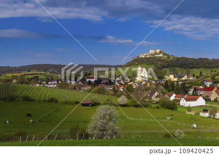 Falkenstein ruins and town with vineyard, Lower Austria, Austria 109420425