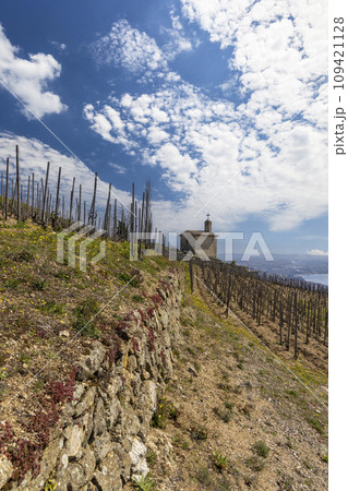 Grand cru vineyard and Chapel of Saint Christopher, Tain l'Hermitage, Rhone-Alpes, France 109421128
