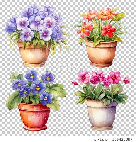 set of home flowers in pots, watercolor drawing. cute illustrations of plants and flowers set of home flowers in pots, watercolor drawing. cute illustrations of plants and flowers 109421397