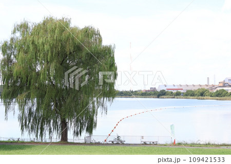 埼玉県久喜市の久喜菖蒲公園昭和沼の風景 109421533