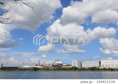 夏空に浮かぶ白い雲と昭和沼の風景 109421538