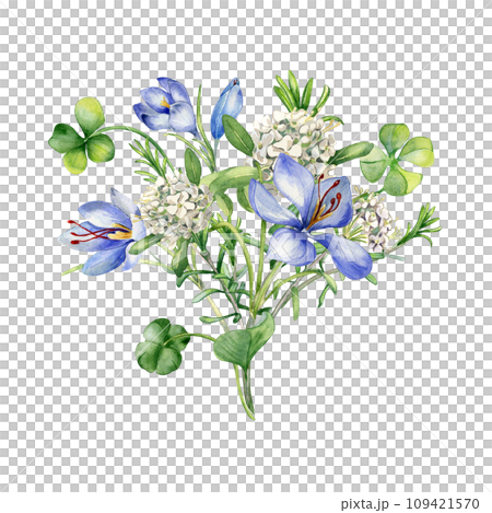 Bunch of spring flowers watercolor illustration isolated on white. Painted green clover and blue, white flowers. Irish lucky symbol hand drawn. Design for St.Patricks day postcard, Easter card Bunch of spring flowers watercolor illustration isolated on white. Painted green clover and blue, white flowers. Irish lucky symbol hand drawn. Design for St.Patricks day postcard, Easter card 109421570