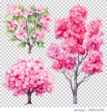 watercolor drawing. set of spring blooming trees and bushes with pink sakura flowers. forest, garden elements, seasons 109421593
