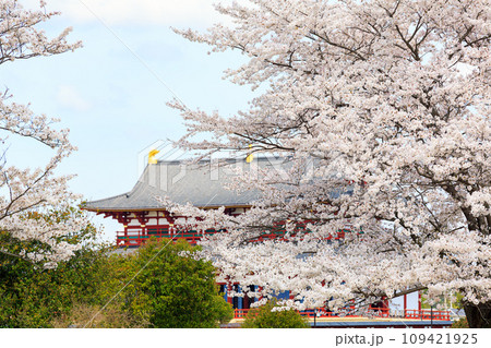 【奈良県】奈良市 平城宮跡 (2014/04/03 撮影) 109421925