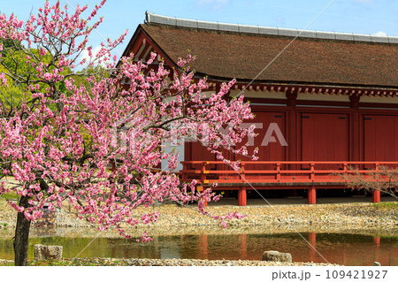 【奈良県】奈良市 平城宮跡 (2014/04/03 撮影) 109421927