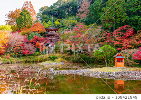 【京都府】木津川市 浄瑠璃寺 (2023/11/29 撮影) 【京都府】木津川市 浄瑠璃寺 (2023/11/29 撮影) 109421949