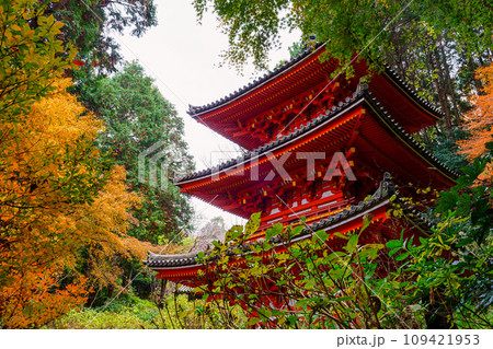 【京都府】木津川市 岩船寺 (2023/11/29 撮影) 【京都府】木津川市 岩船寺 (2023/11/29 撮影) 109421953