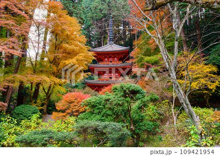 【京都府】木津川市 岩船寺 (2023/11/29 撮影) 109421954