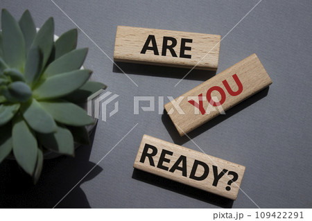 Are you ready symbol. Concept word Are you ready on wooden blocks. Beautiful grey background with succulent plant. Business and Are you ready concept. Copy space 109422291