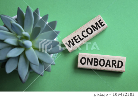Welcome onboard symbol. Concept words Welcome onboard on wooden blocks. Beautiful green background with succulent plant. Business and Welcome onboard concept. Copy space. 109422383