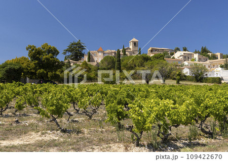 Typical vineyard near Vinsobres, Cotes du Rhone, France 109422670