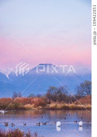 夜明けを迎えた御宝田遊水池【安曇野市明科】 夜明けを迎えた御宝田遊水池【安曇野市明科】 109422851