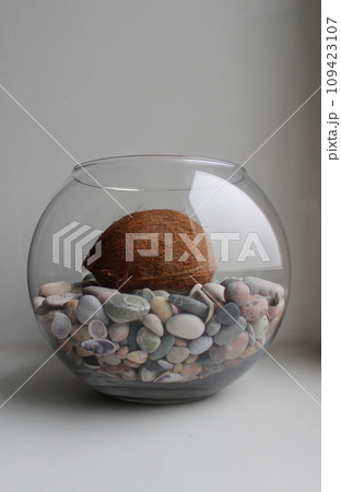 Glass Vase With Sea Pebbles And Whole Coconut On White Background Glass Vase With Sea Pebbles And Whole Coconut On White Background 109423107