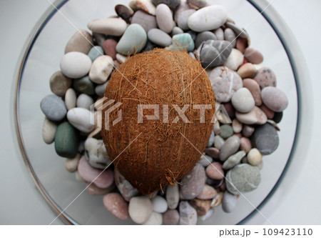 Detailed Stock Photo Of Ripe Brown Coconut In Glass Bowl With Sea Stones 109423110