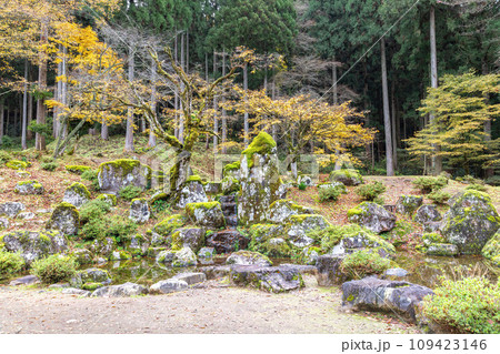 諏訪館跡庭園の紅葉 諏訪館跡庭園の紅葉 109423146