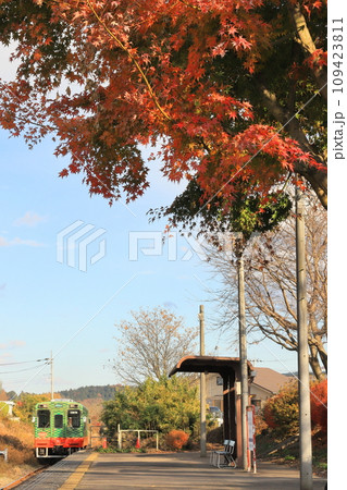 12月初旬の真岡鐵道「北山駅」もみじの紅葉背景に 12月初旬の真岡鐵道「北山駅」もみじの紅葉背景に 109423811